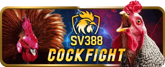 Đá gà tre và gà nòi tại iwwin